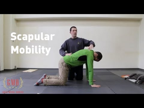 Shoulder Stretch and Scapular Mobility Tutorial